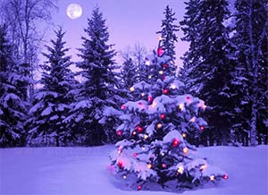 Новый год на базе отдыха КрасЭйр